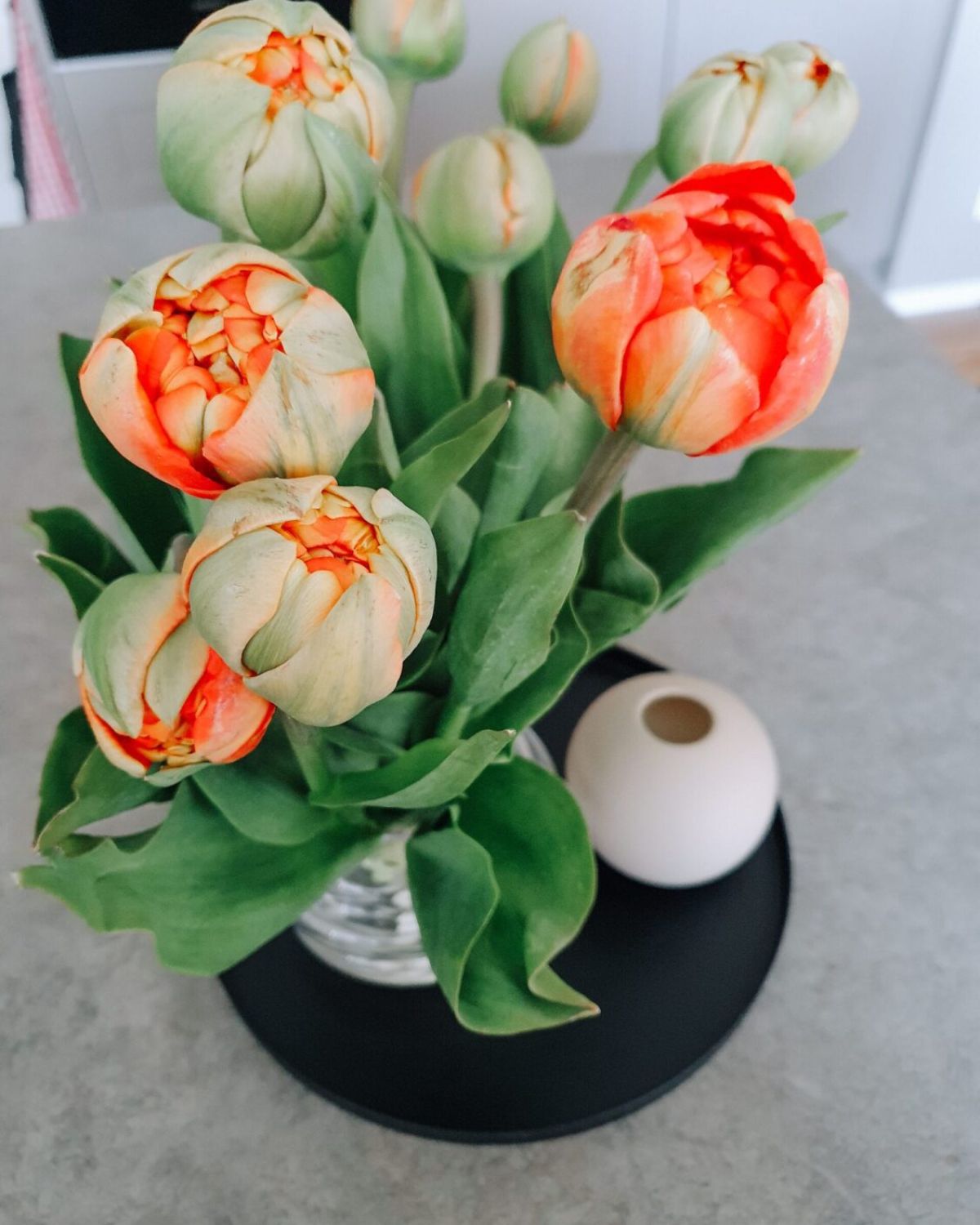 Piontulpaner, smink och ekonomi