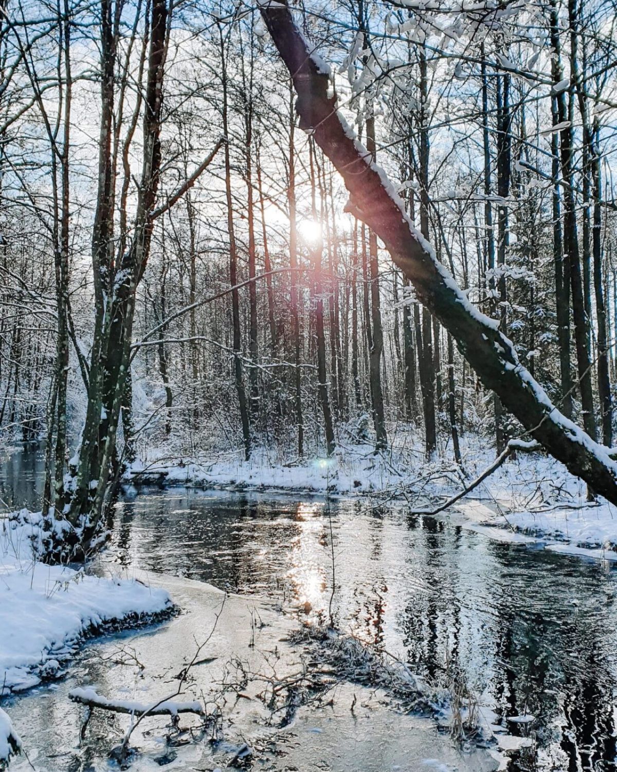 Utekalas med sol och snö