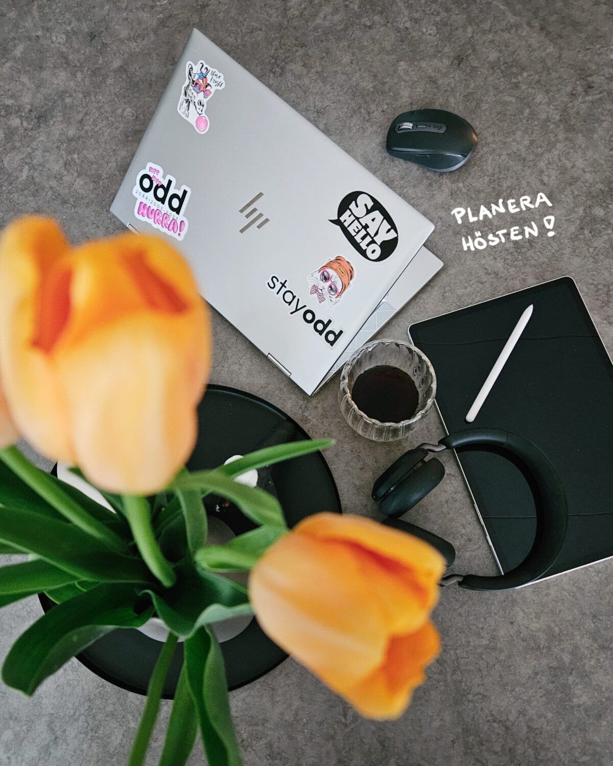 Hur ska ni synas och nå ut i höst? Planera höstens aktiviteter